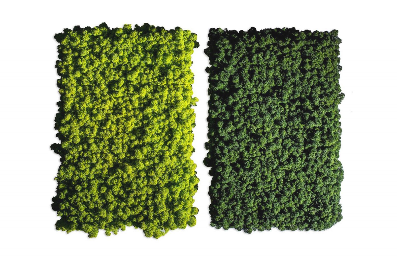 Bild zeigt zwei rechteckige Mooswandbilder in zwei verschiedenen Grüntönen