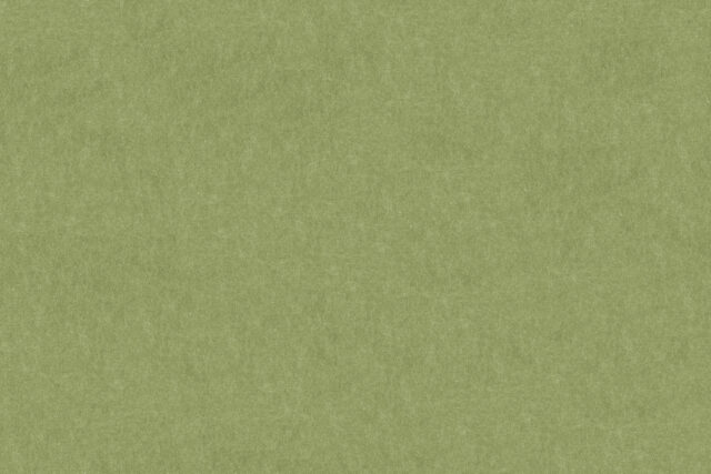 Ansicht Muster NeoTex Farbe Grün