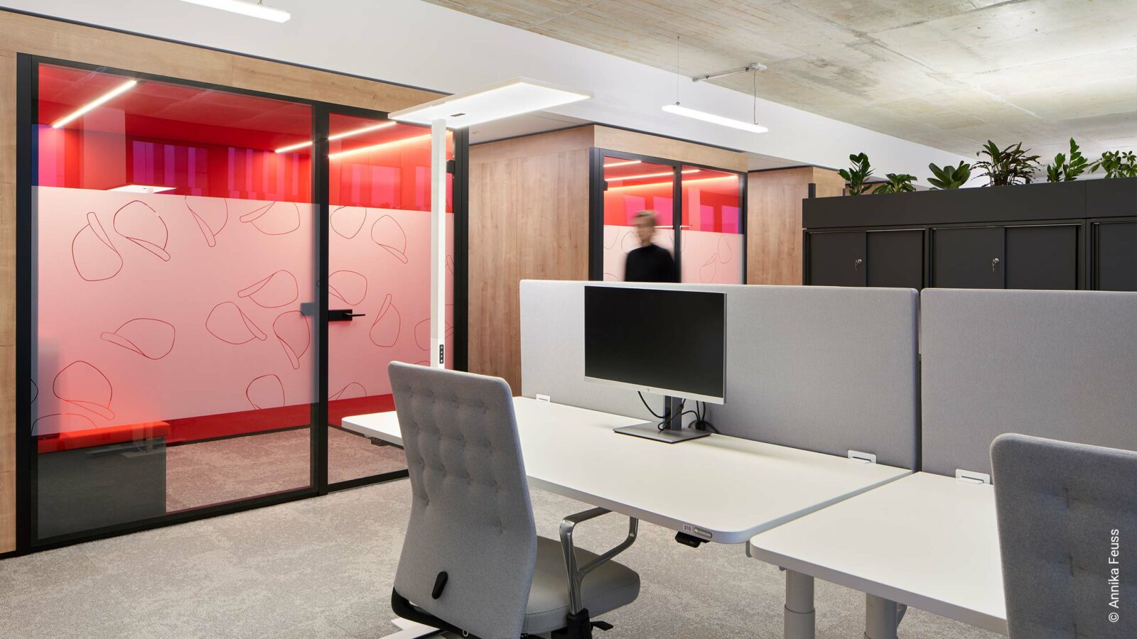 Foto Referenz Intersnack mit Blick auf weiße Arbeitsplätze mit hellgrauen Akustikwänden und Bürodrehstühlen, schwarze Schränke mit Pflanzaufsätzen und abgetrennte kleine Räume in Rot.